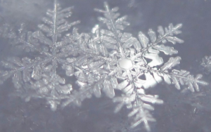 Screen Shot 2018-09-18 at 1.21.46 PM